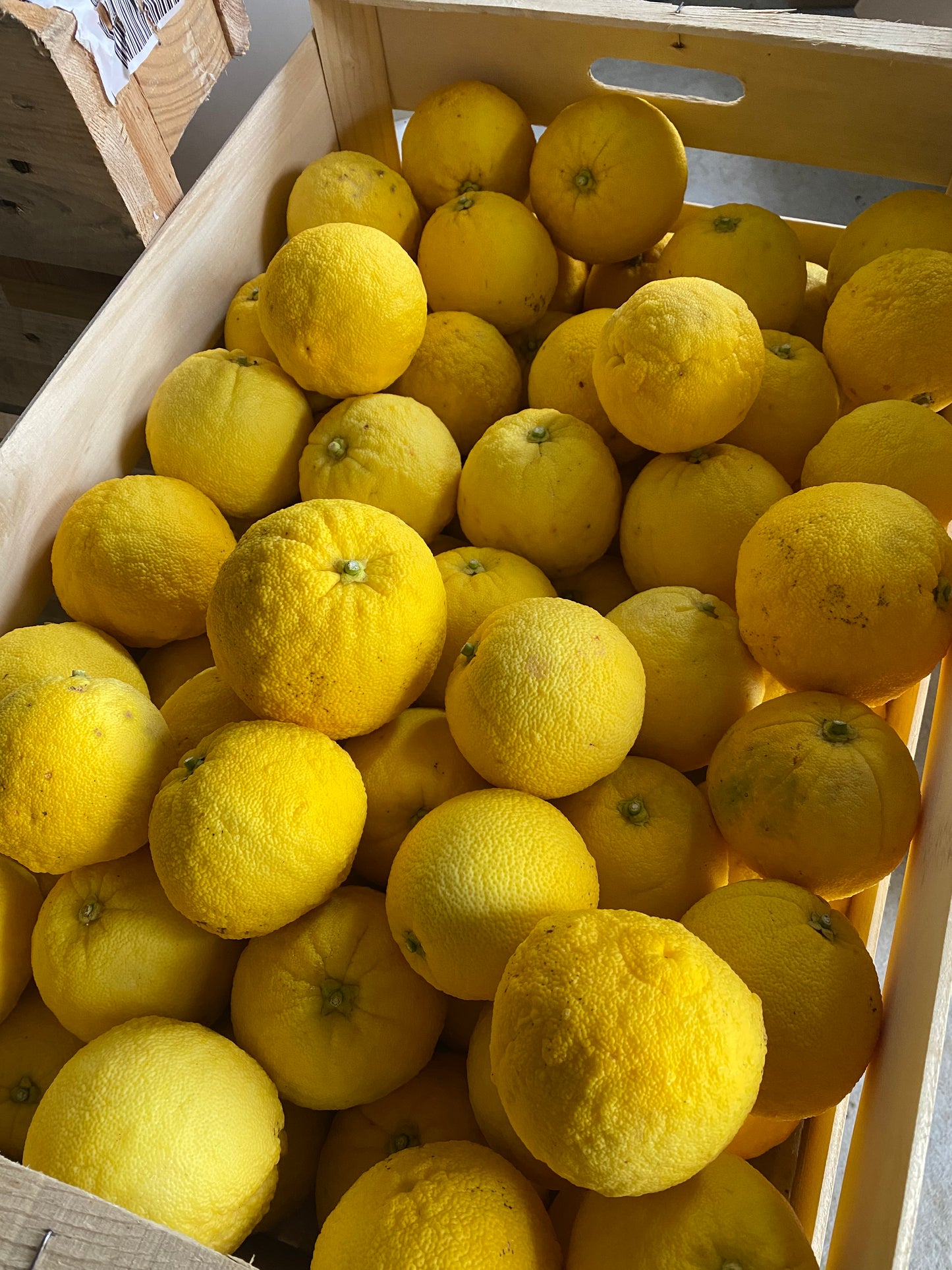 Ichang Lemon frais BIO français